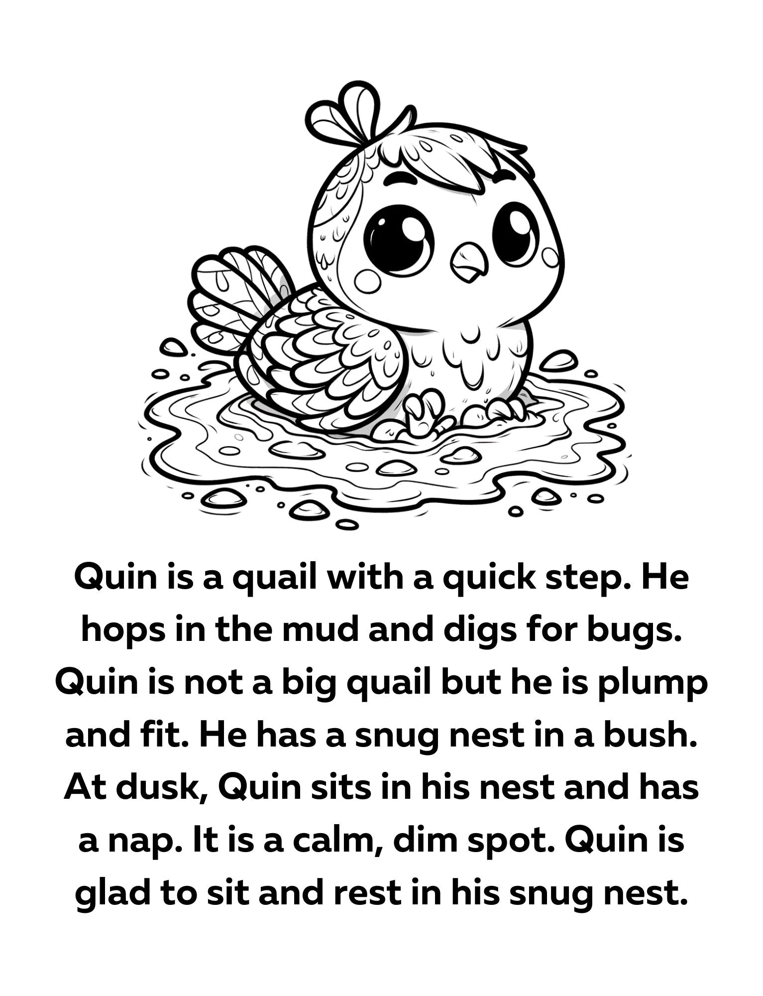 Orton Gillingham Decodable Readers