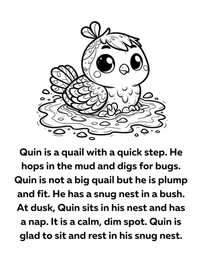 Orton Gillingham Decodable Readers